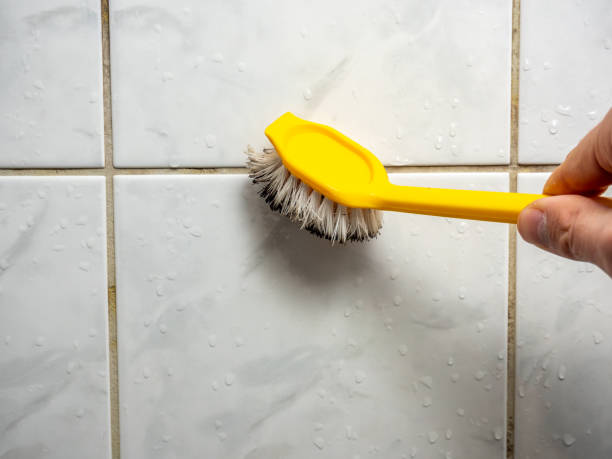 Best Office Mold Removal Services  in Renville, MN
