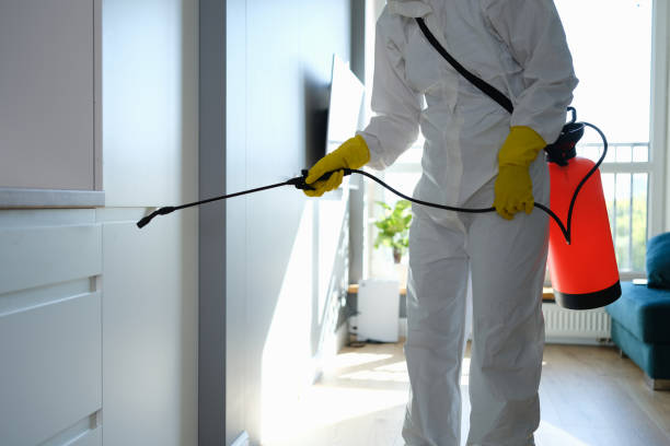 Best Mold Damage Repair  in Renville, MN