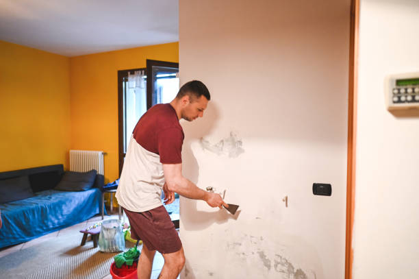 Best Toxic Mold Removal  in Renville, MN